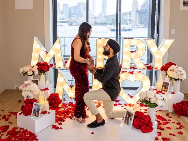 Premium Proposal