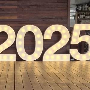 Light up Letters for 2025