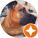 Leah Havord profile picture